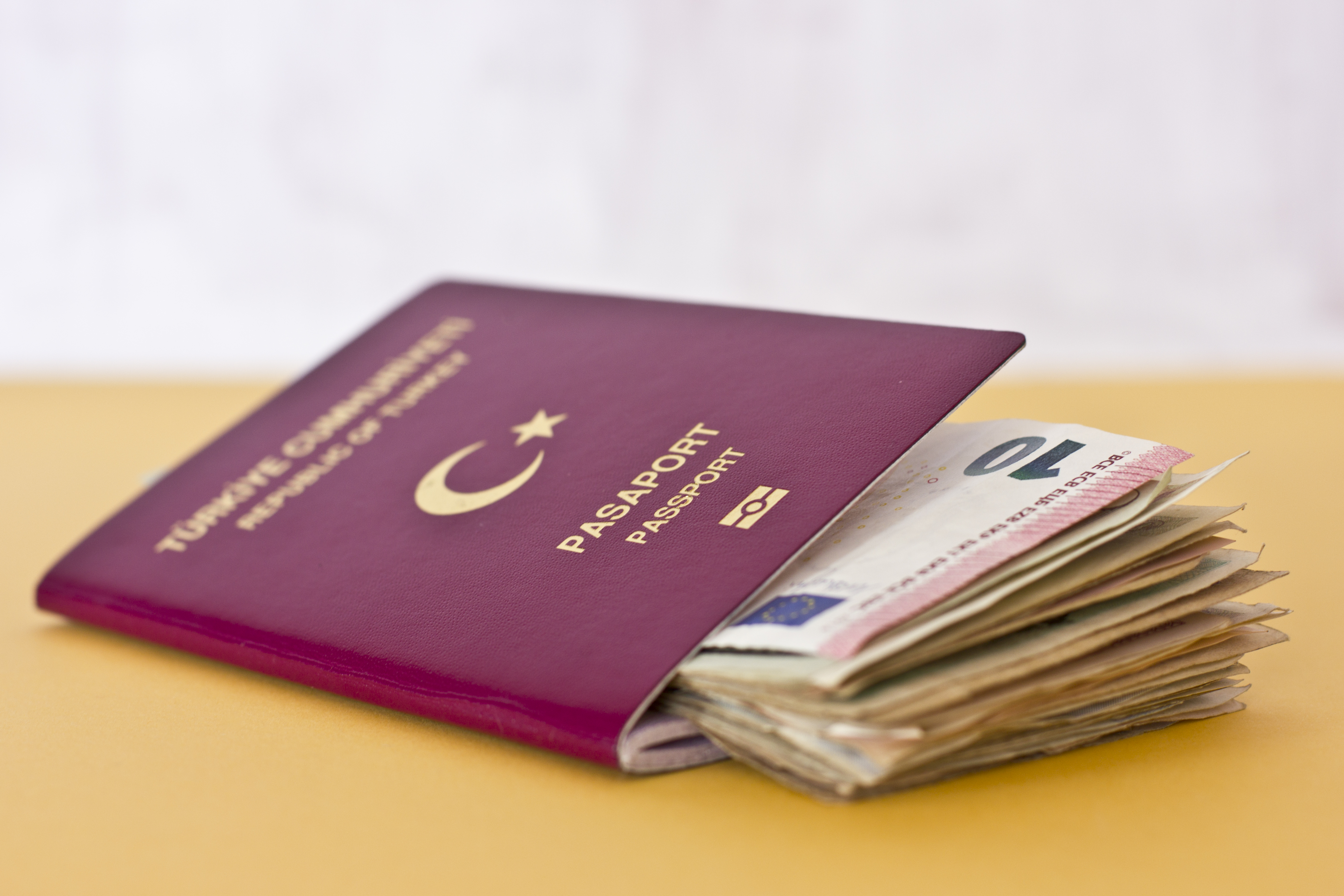 Оформление ВНЖ и гражданства в Турции с помощью ALEX EMLAK